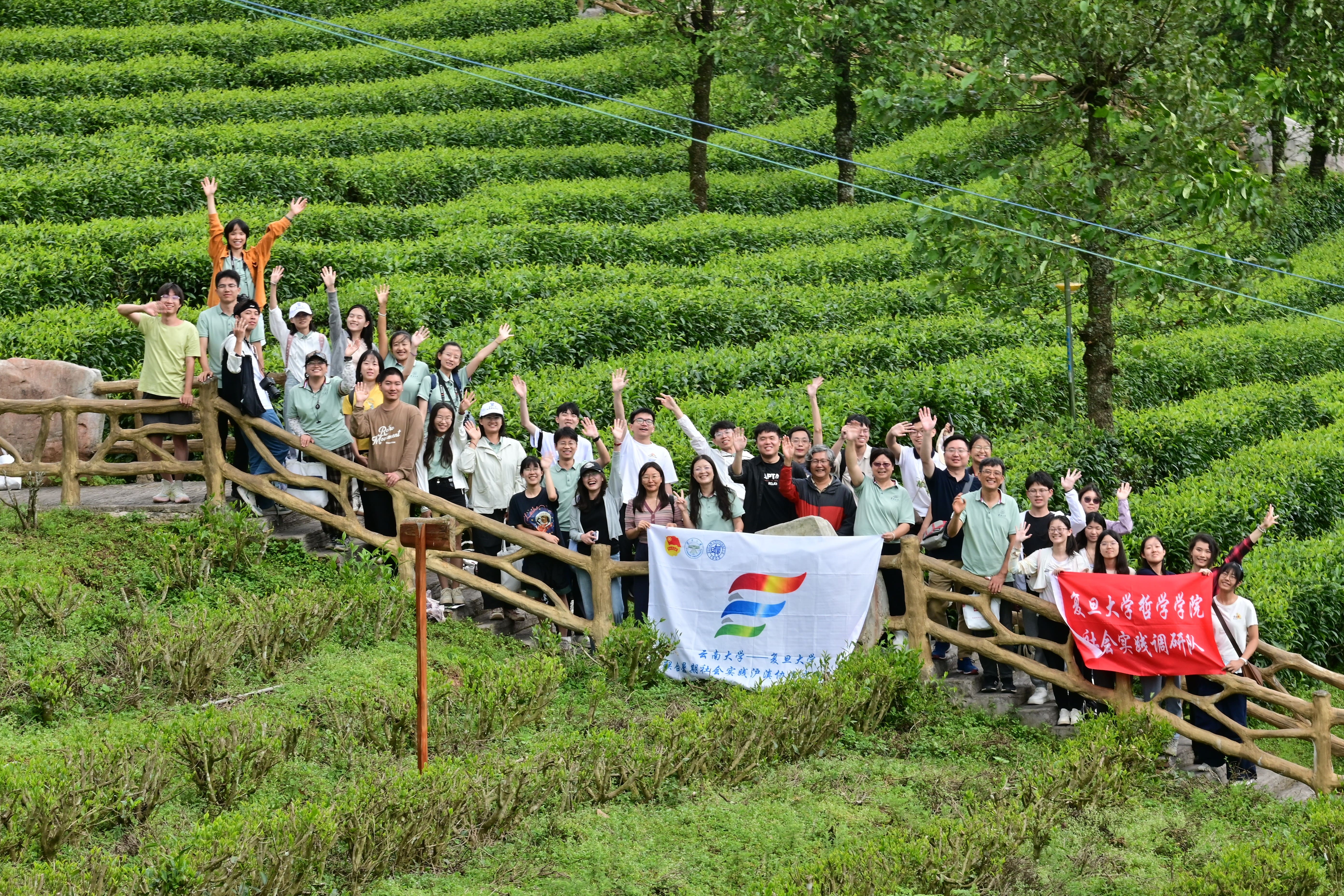 1.云南大学“国家发展视角下的沪滇协作战略”考察团在云南省楚雄州永平县大坪坦茶园调研.jpg