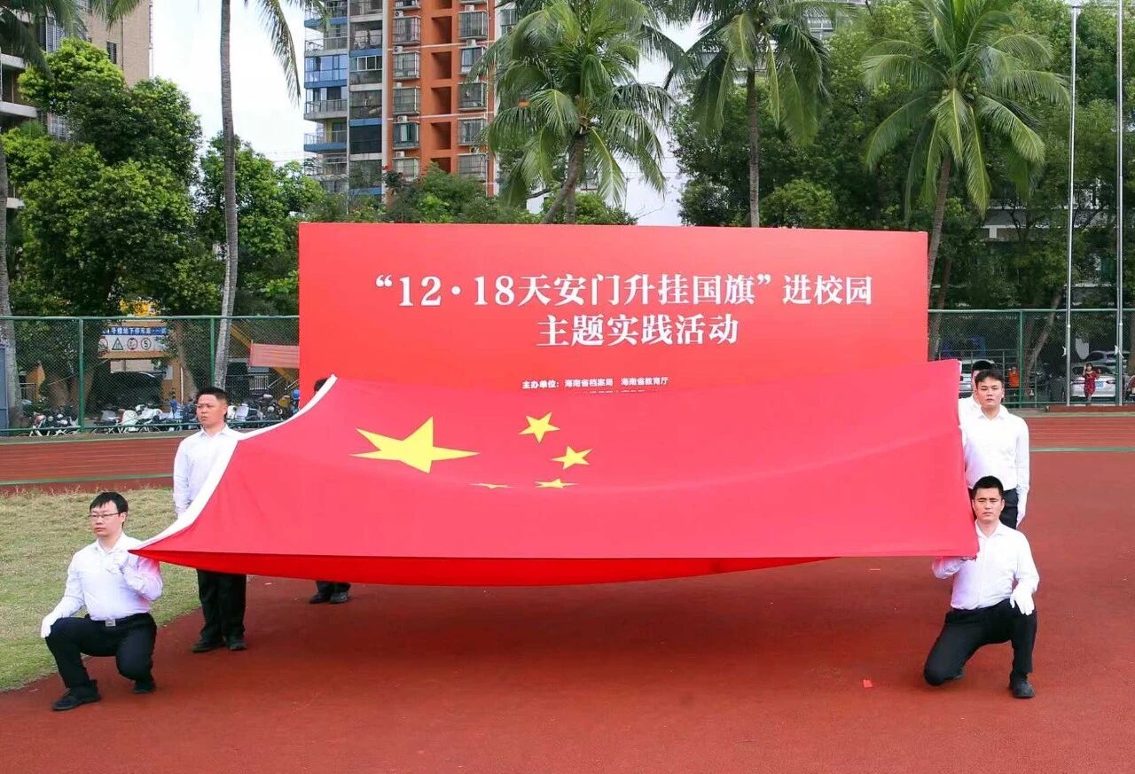 9036287.jpg