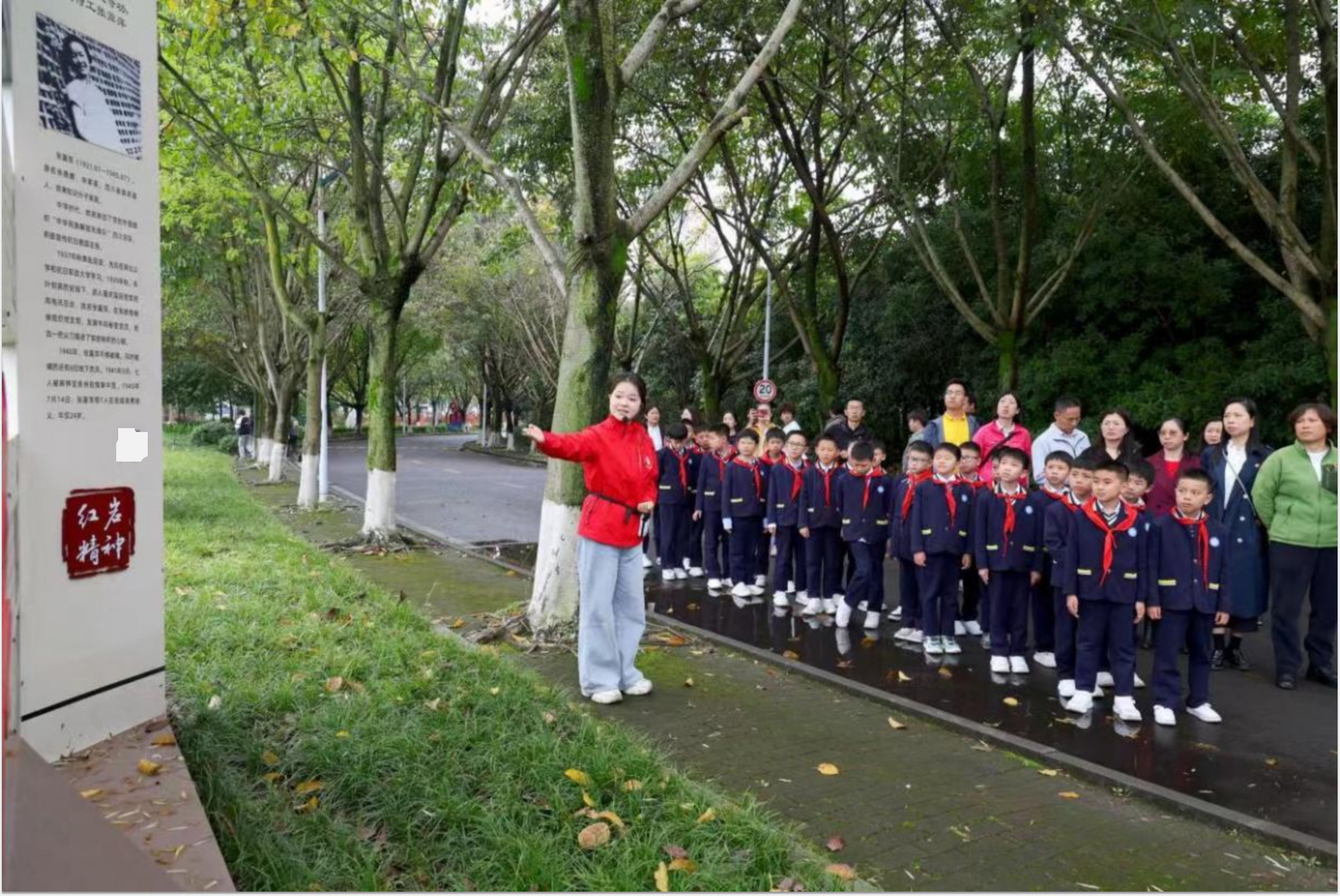 图片3_副本.png