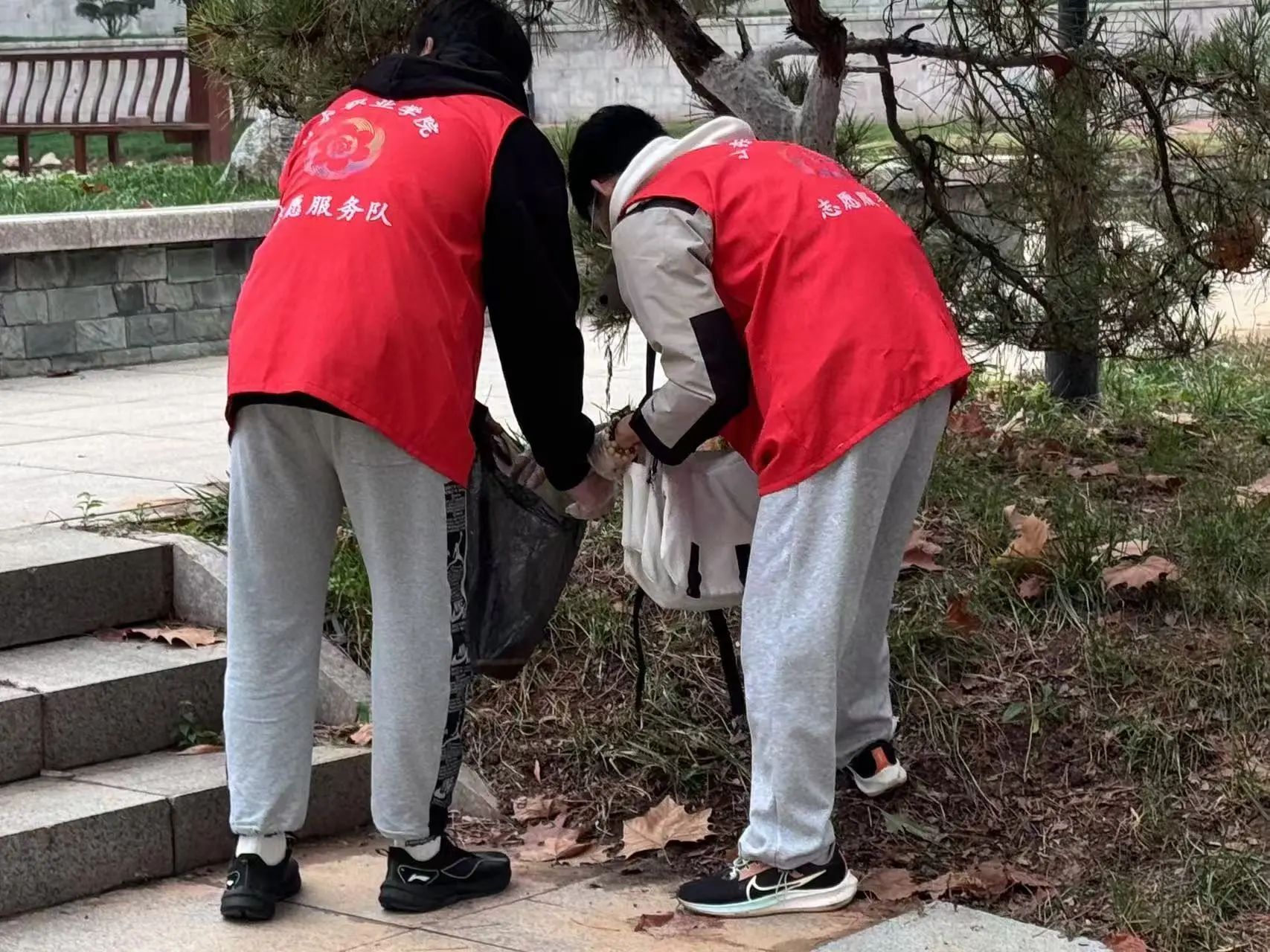微信图片_20241118121233