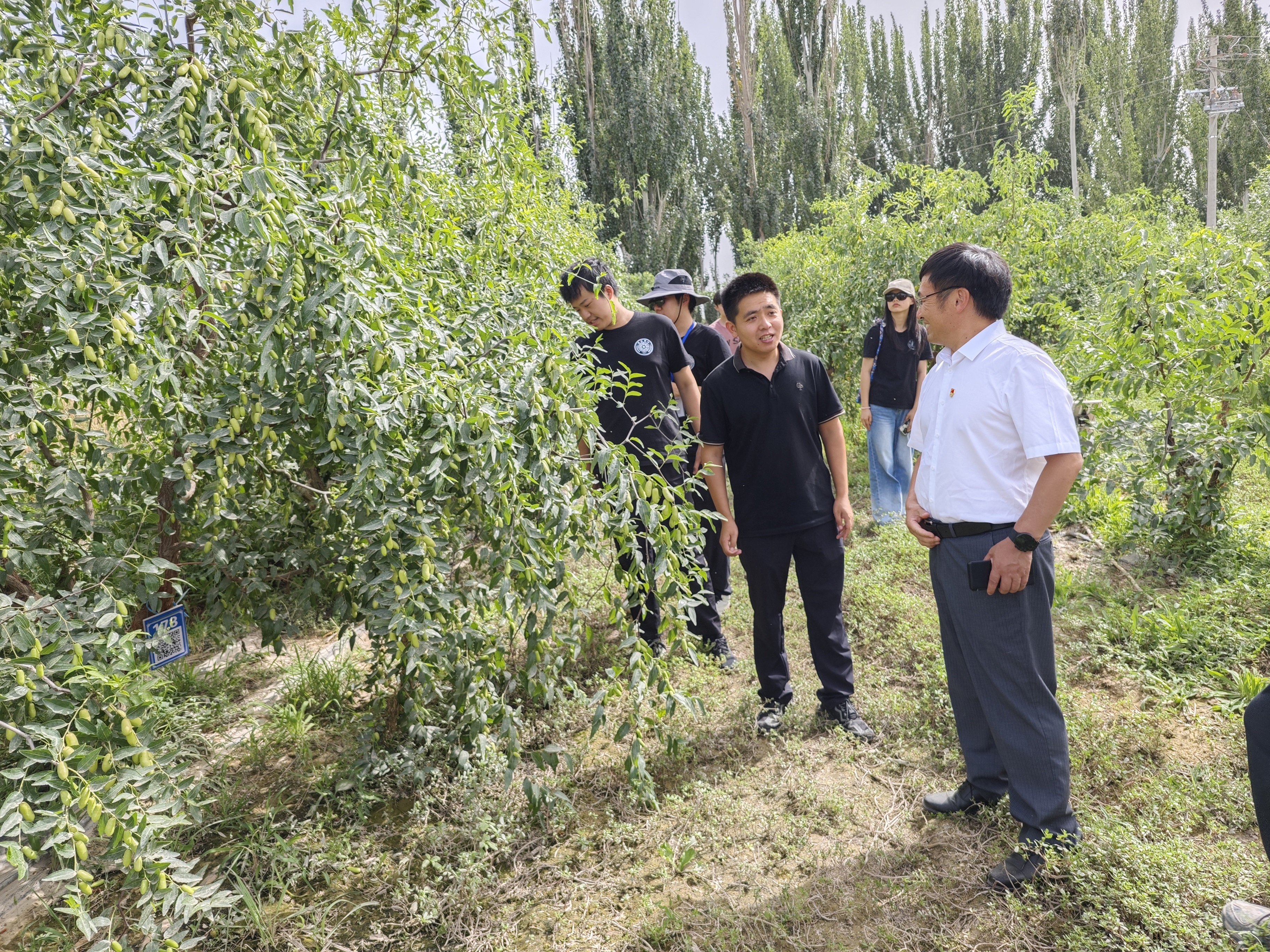 喀什地区麦盖提县天气在线