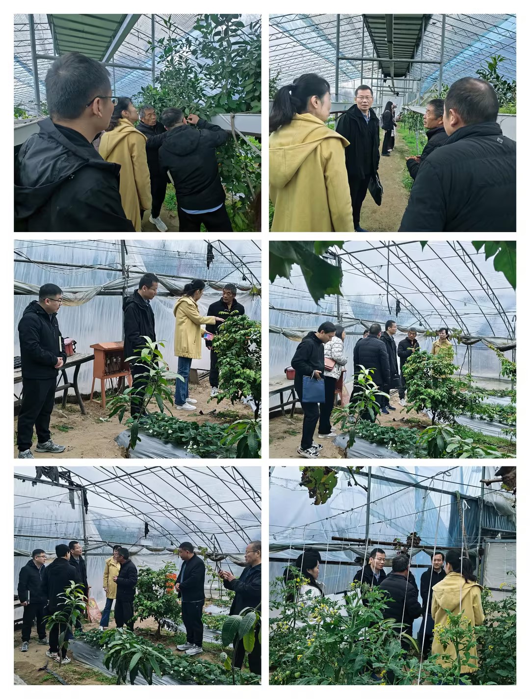 科技服务团现场为基地提供技术支持