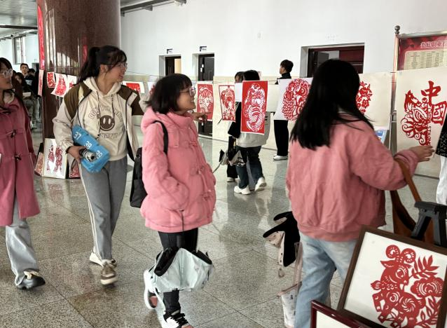 图片3