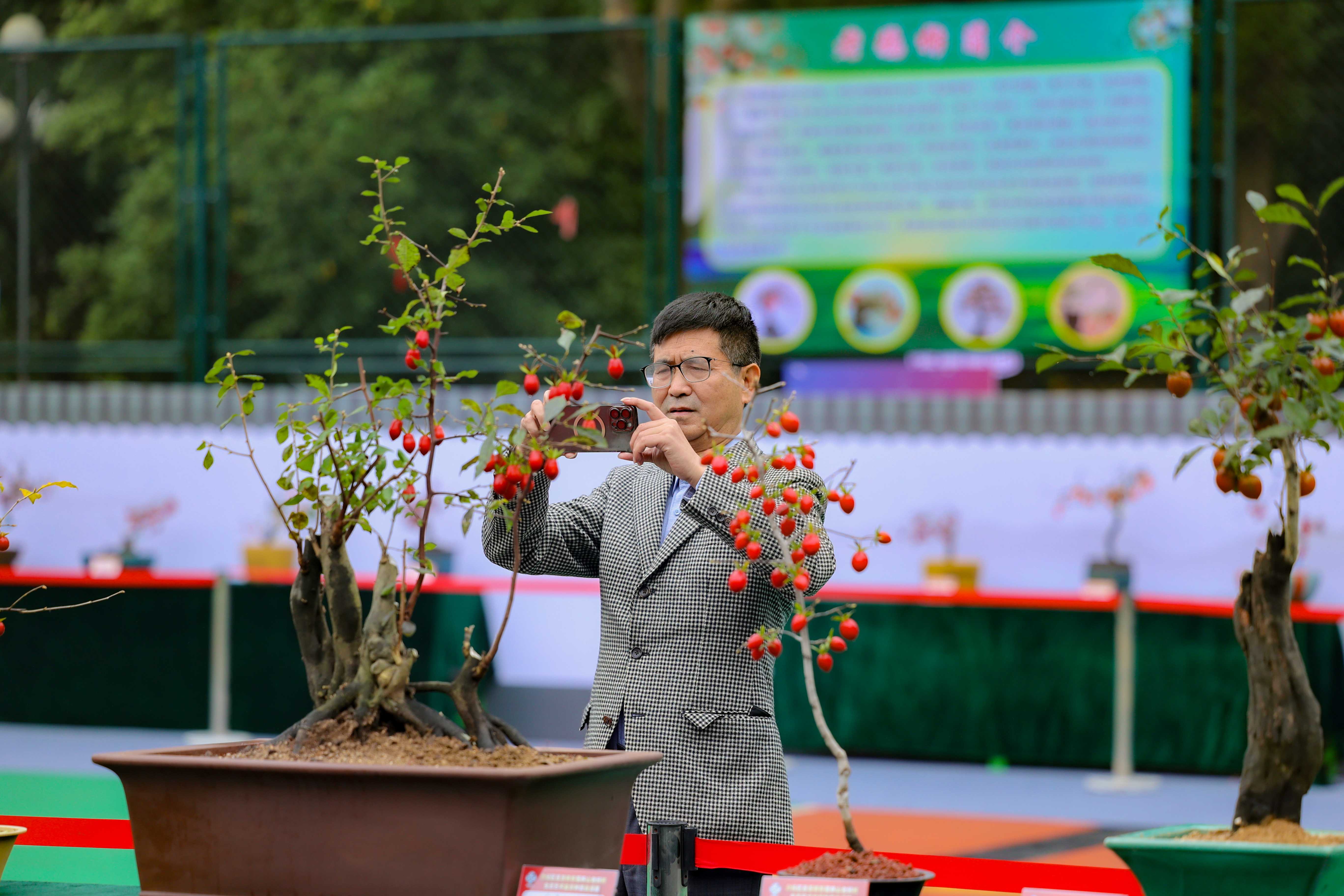 微信图片_20241124093950(1)