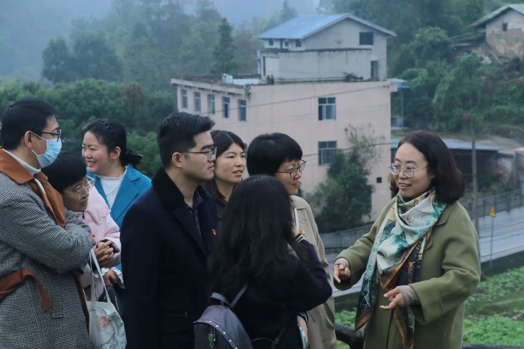 乡村11