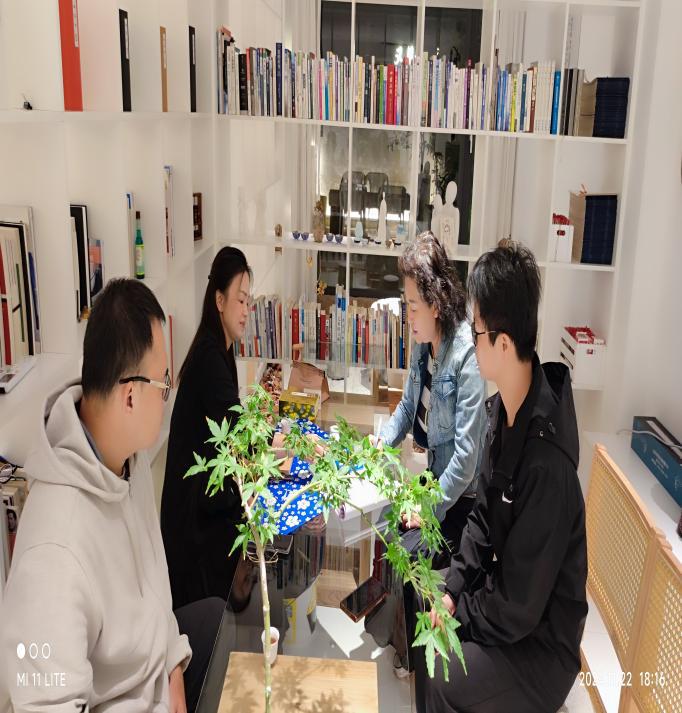 图片8