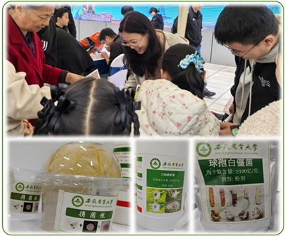 图片4