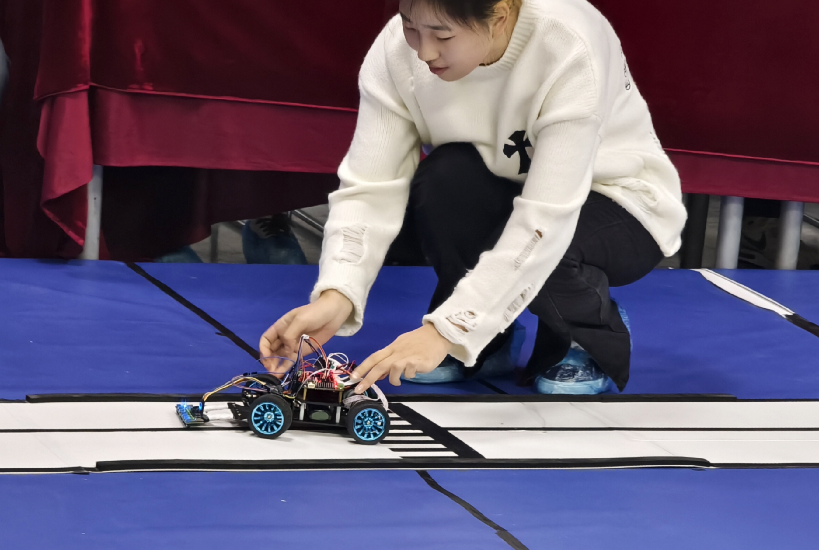 IMG_20241121_143815 IMG_20241121_143815