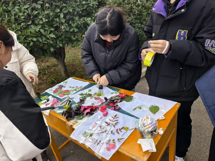 图片1