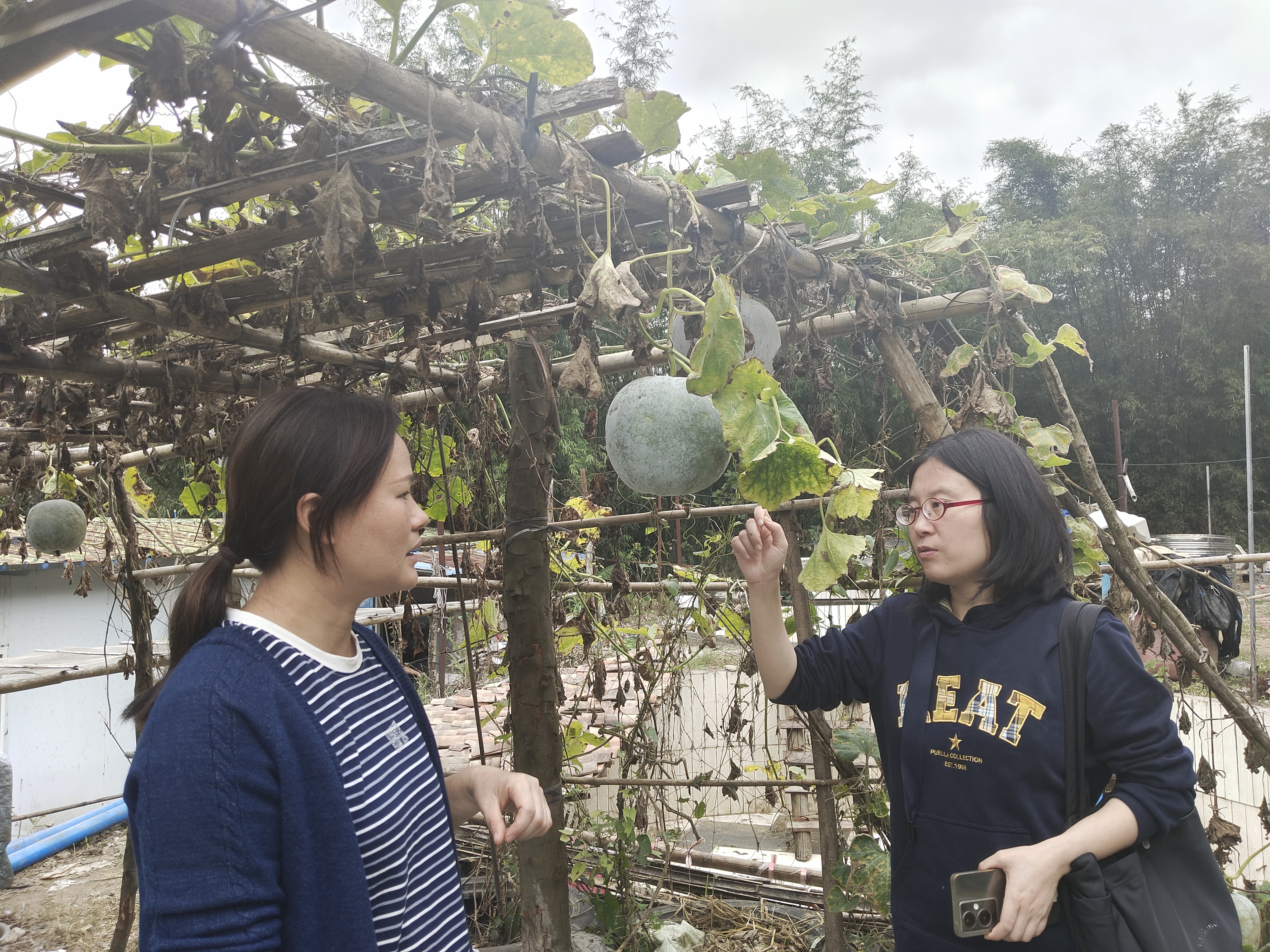 微信图片_20241122161505