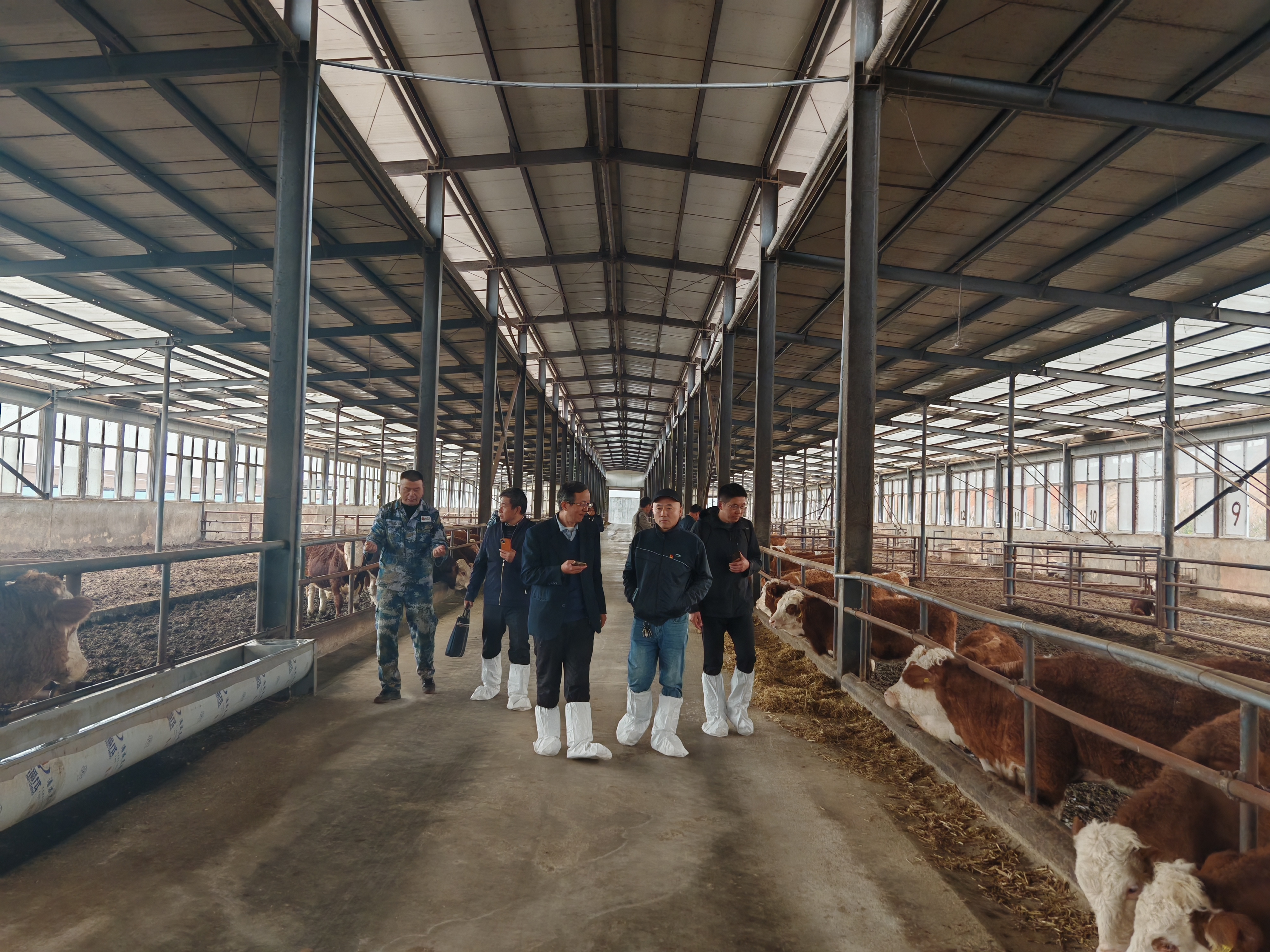 现场照片（二）