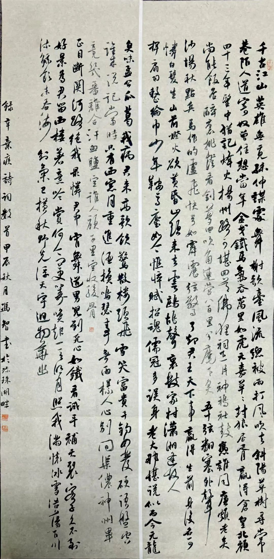 17《录辛弃疾诗词数首》宿州学院  冯智