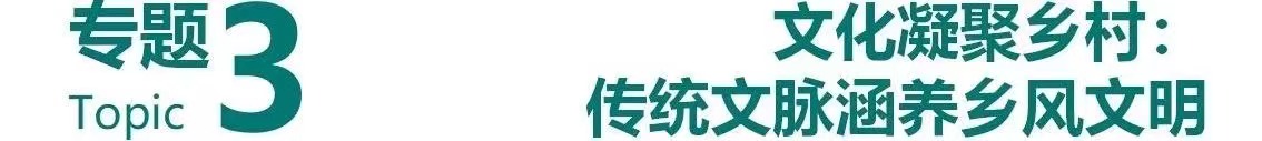 专题3图片