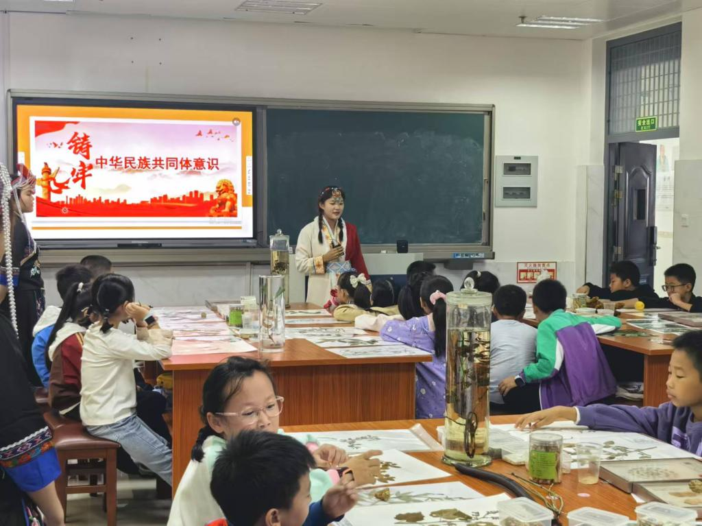图片7