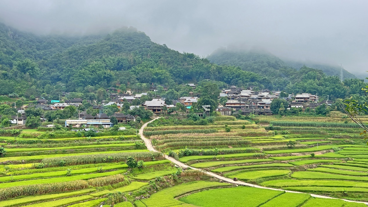 微信图片_20241213190753