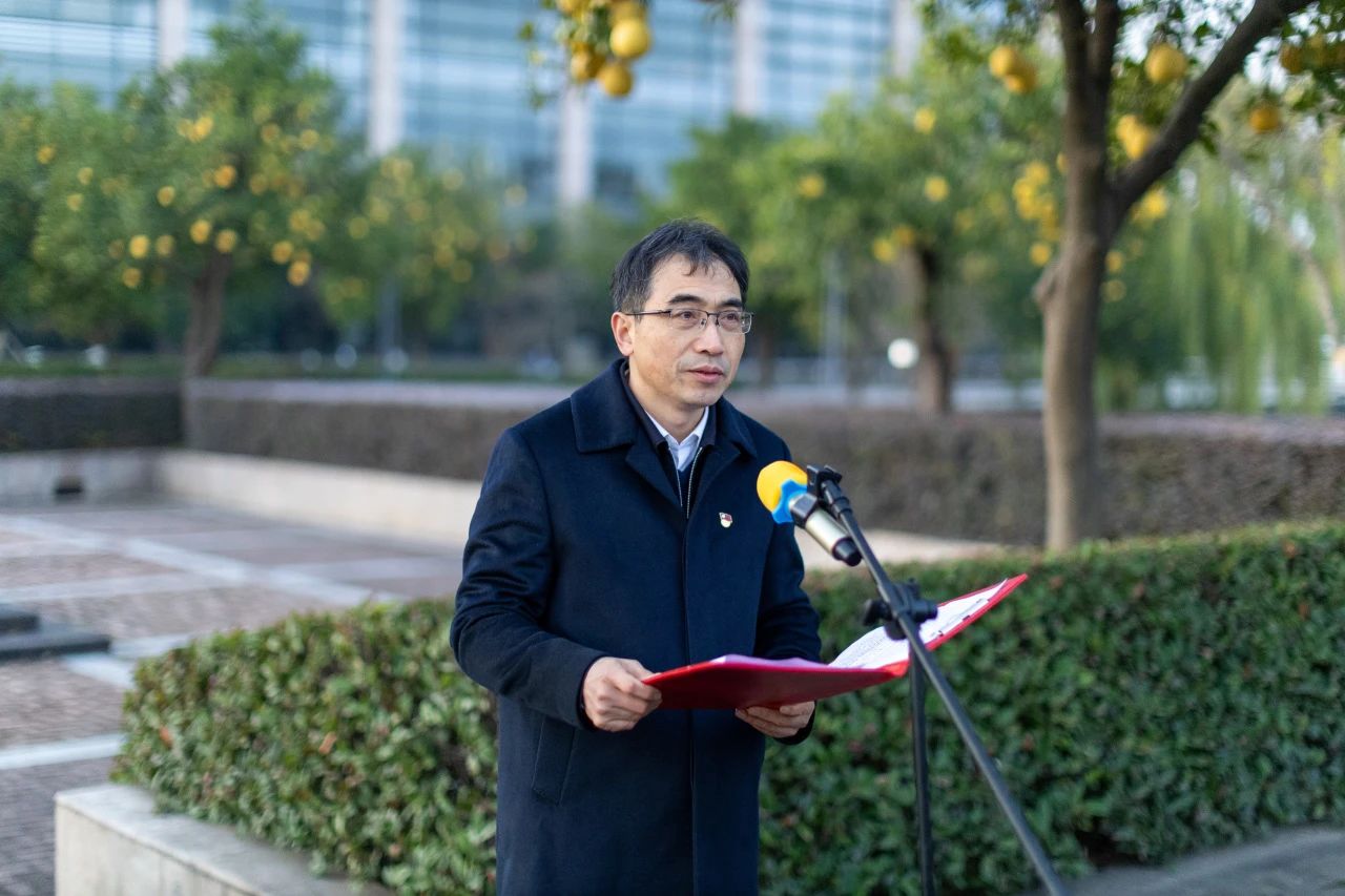 图片6