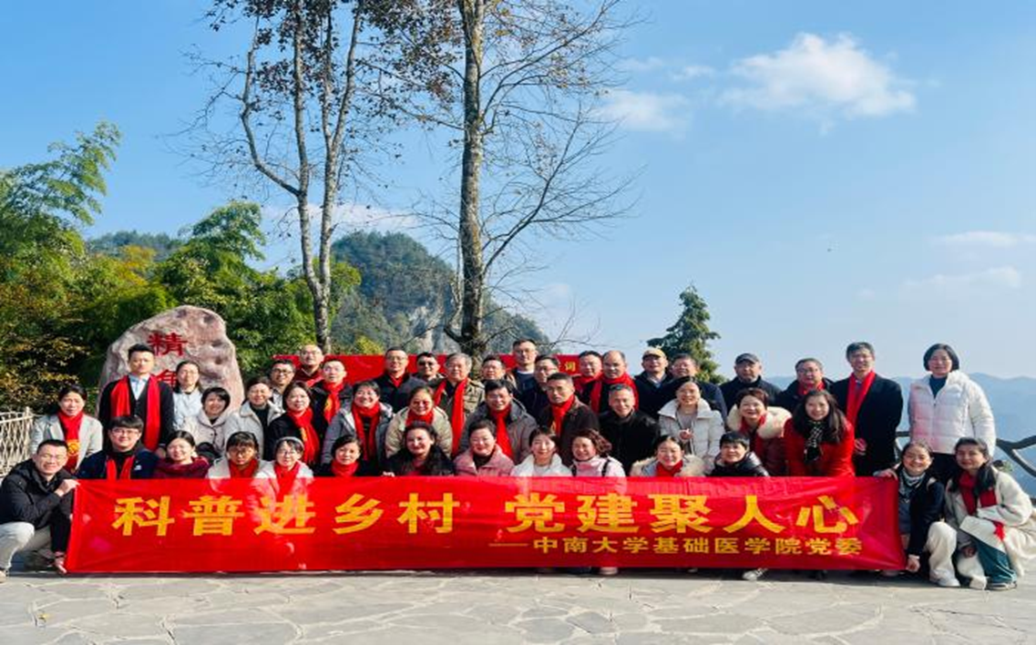 图片6