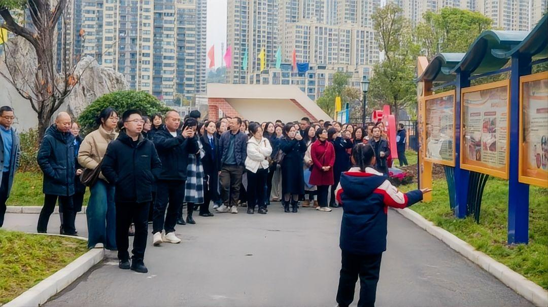 图片7