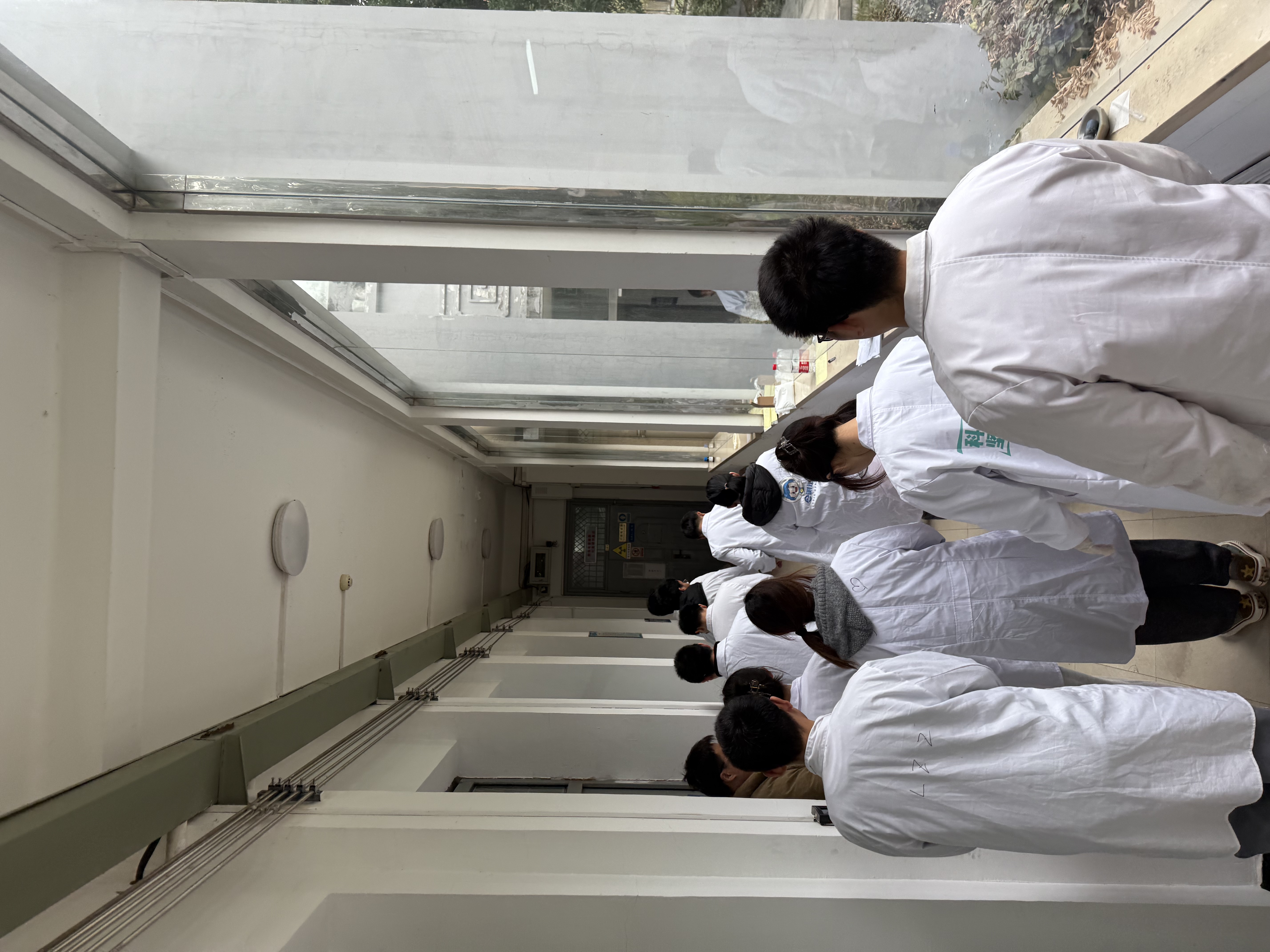 行动成员