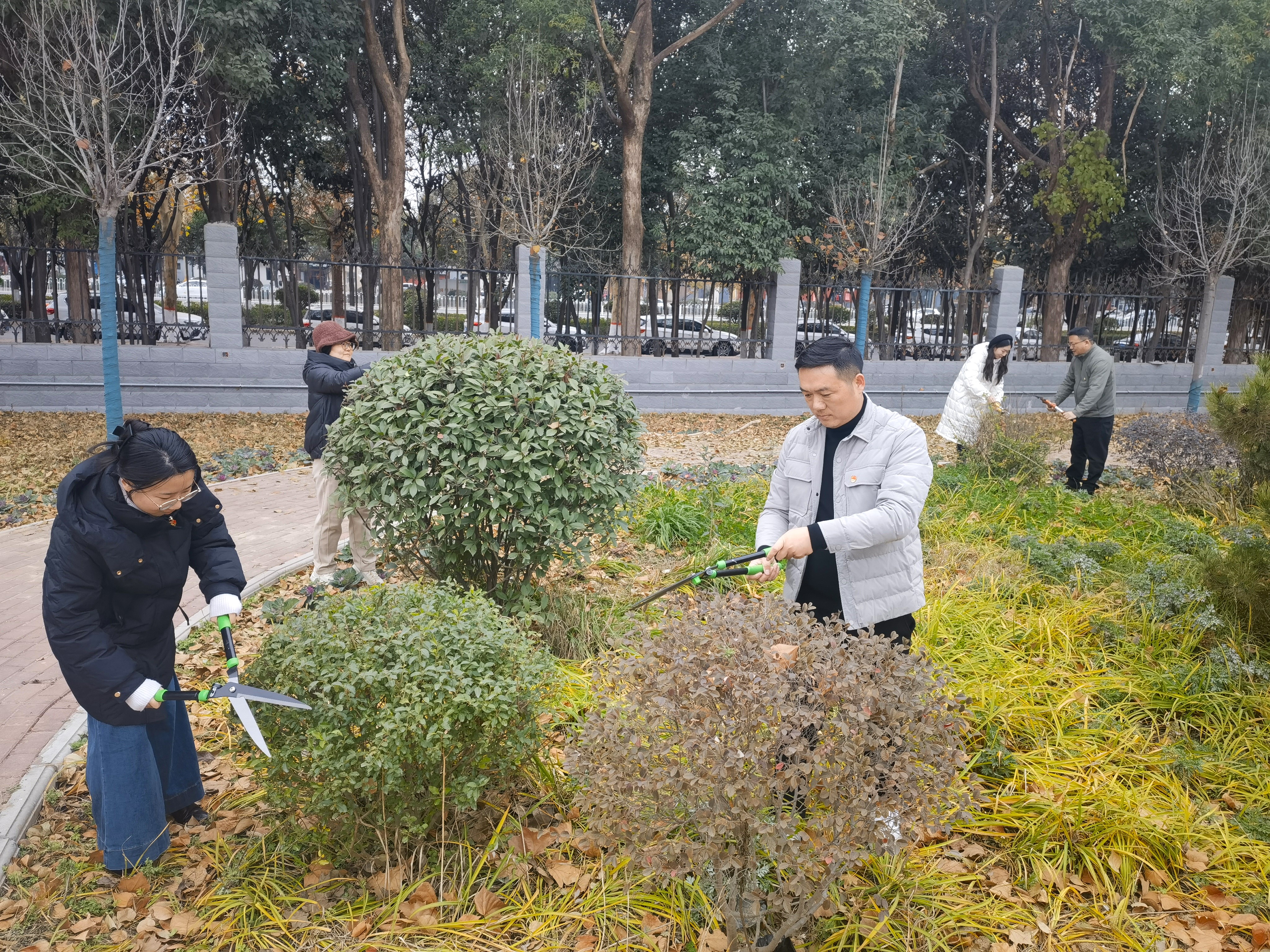 教师党员在花卉园艺示范区进行修剪