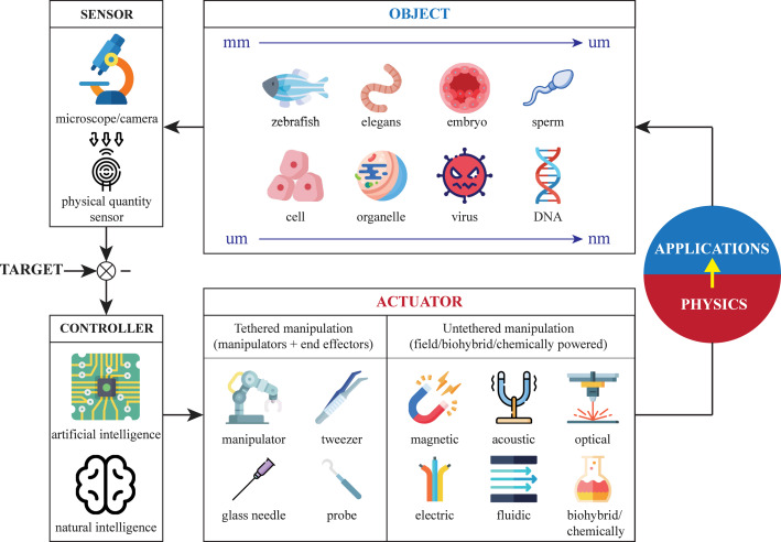 59285547-8fe1-4e9b-9d77-795f115735c3_d
