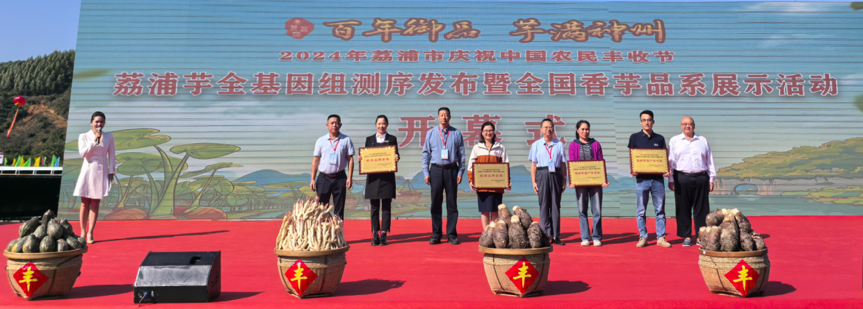 图片4