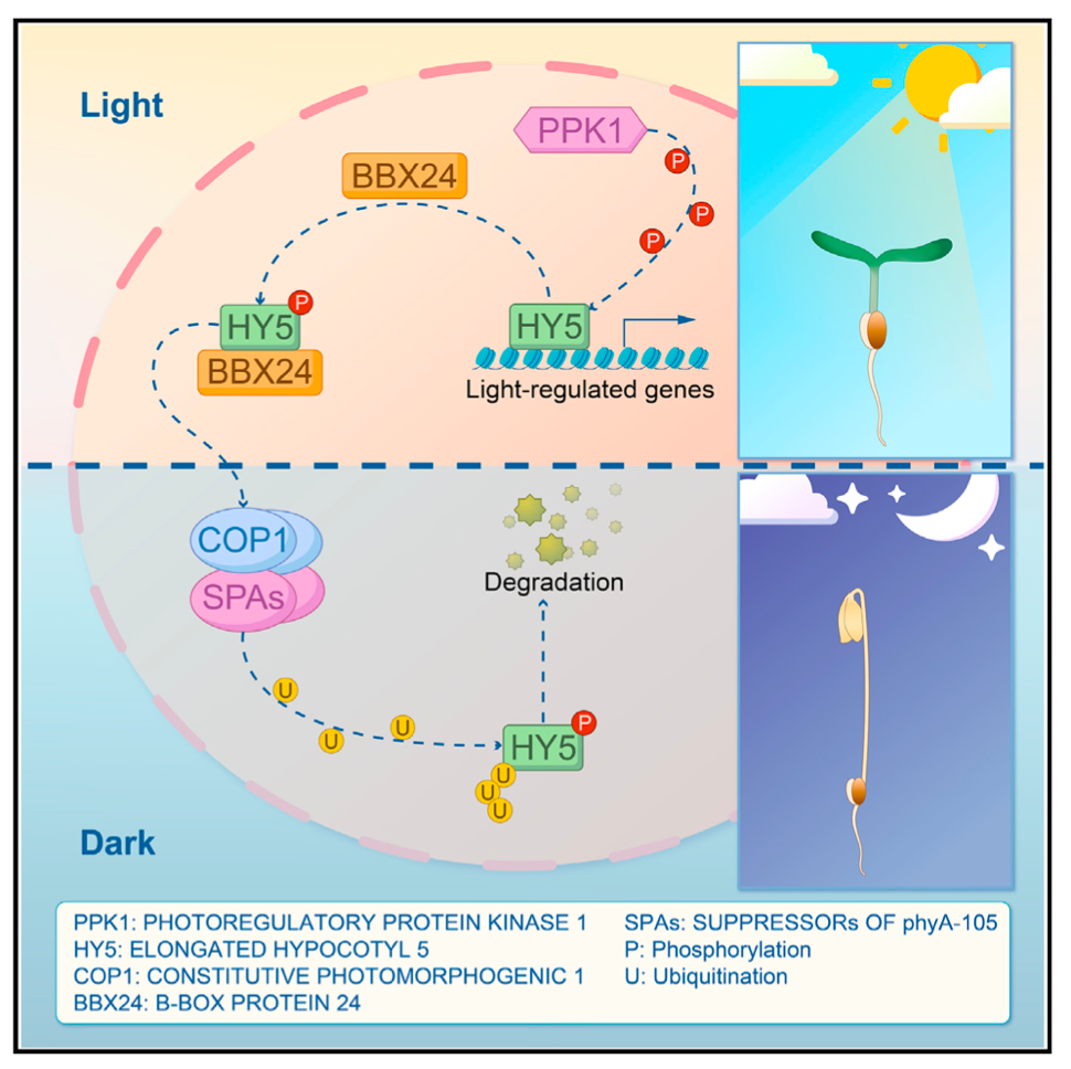 微信图片_20241226100300