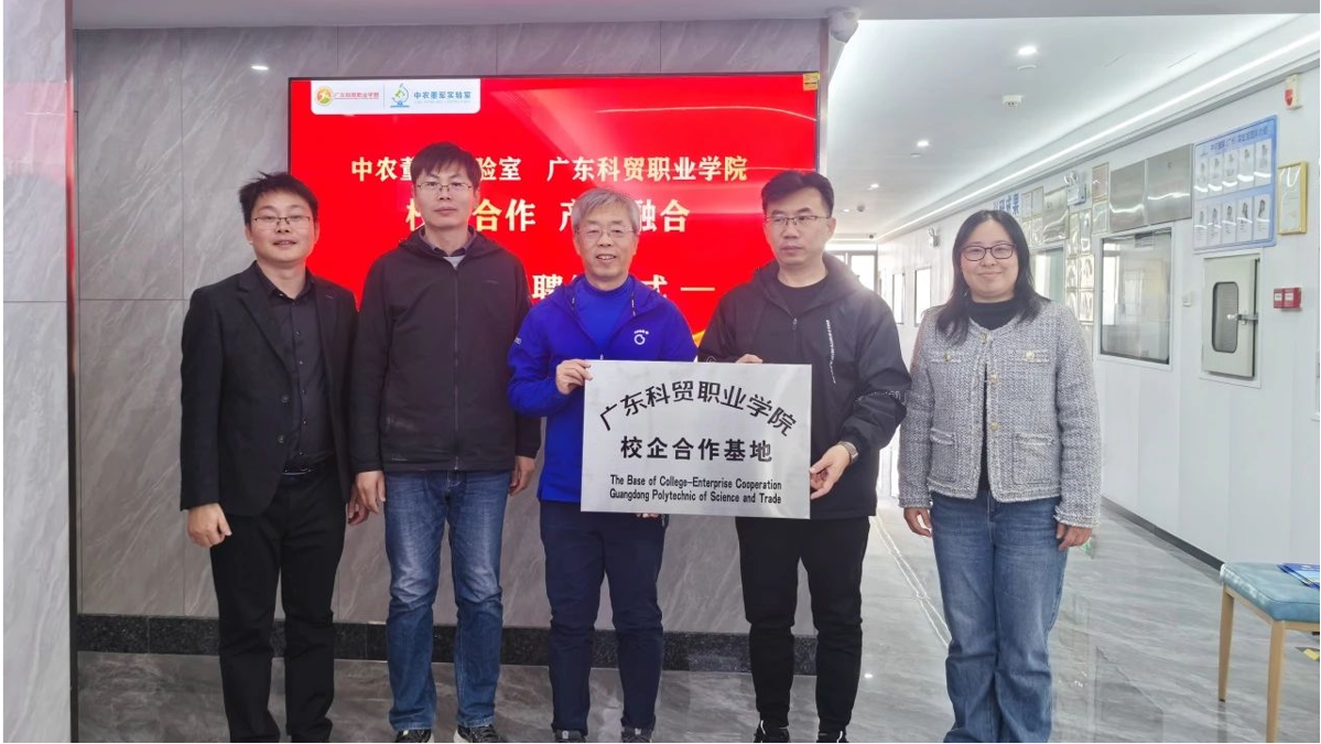 1735363588812 1735363588812