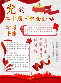 图片31