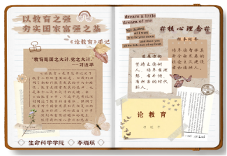 图片17