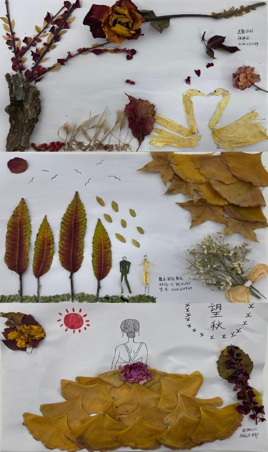 1A9BA5DF5E54A6B3878A55E2FFC_71E55E50_A476C