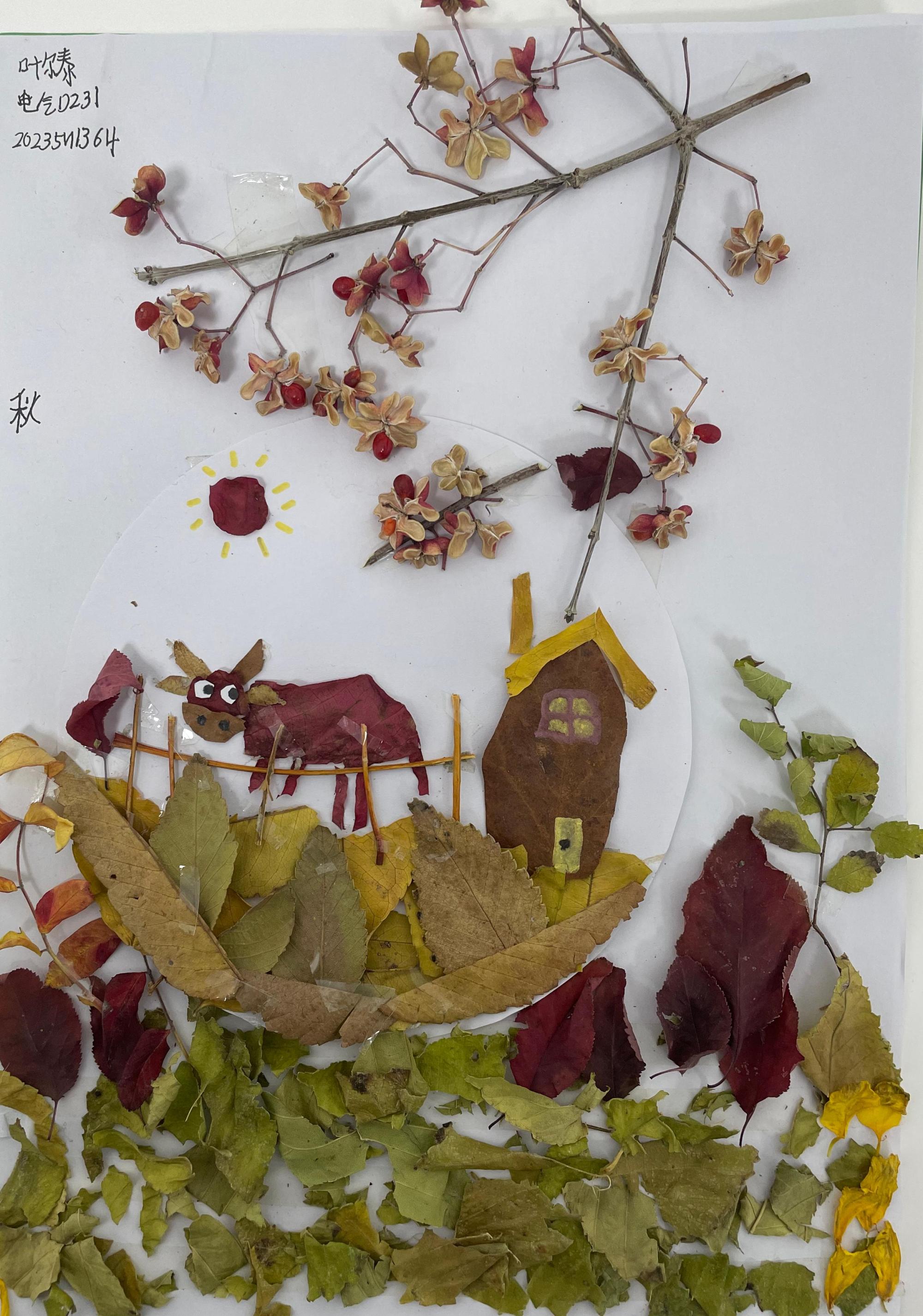 65D959AE76C95D9A68C8EC2C041_49DB91CC_966BA