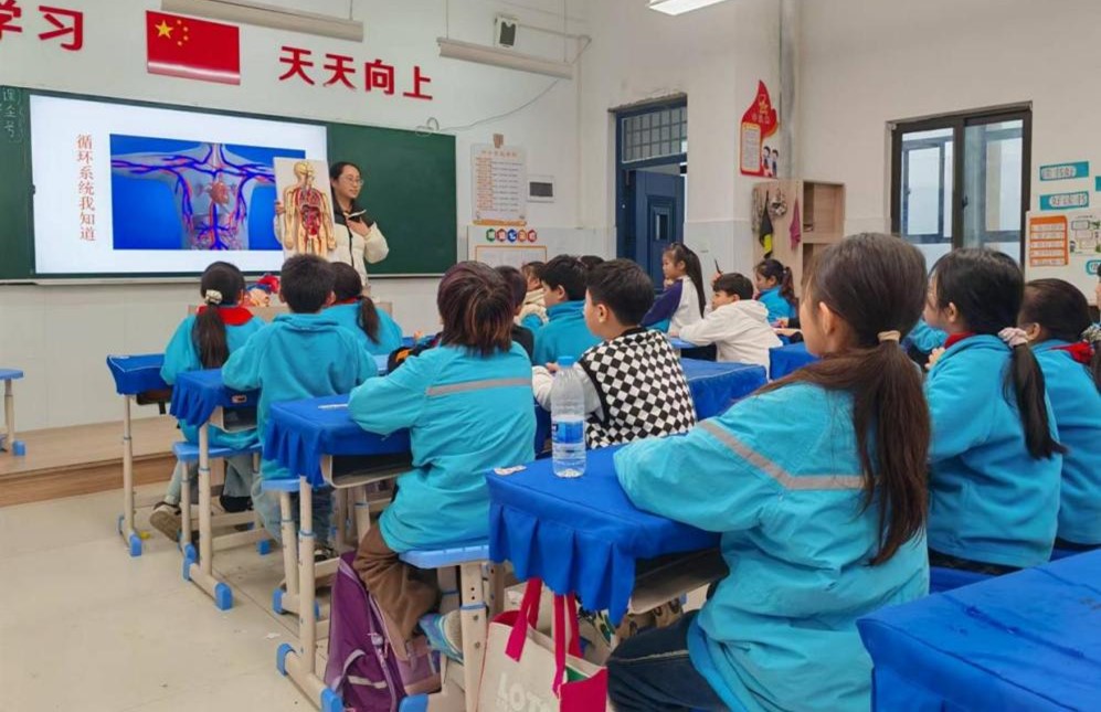 循环系统我知道 循环系统我知道