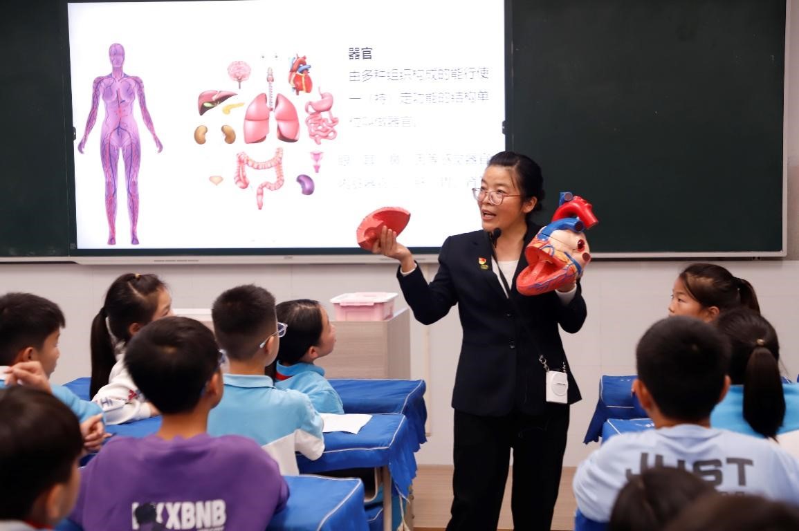 我的身体 我的身体