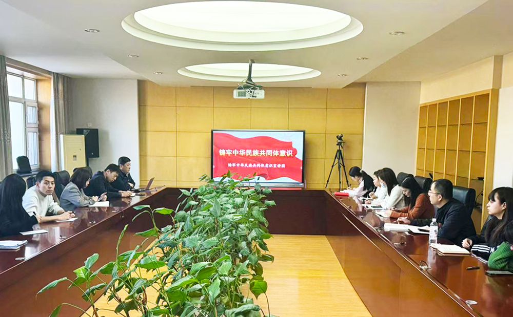 中华民族共同体意识学习