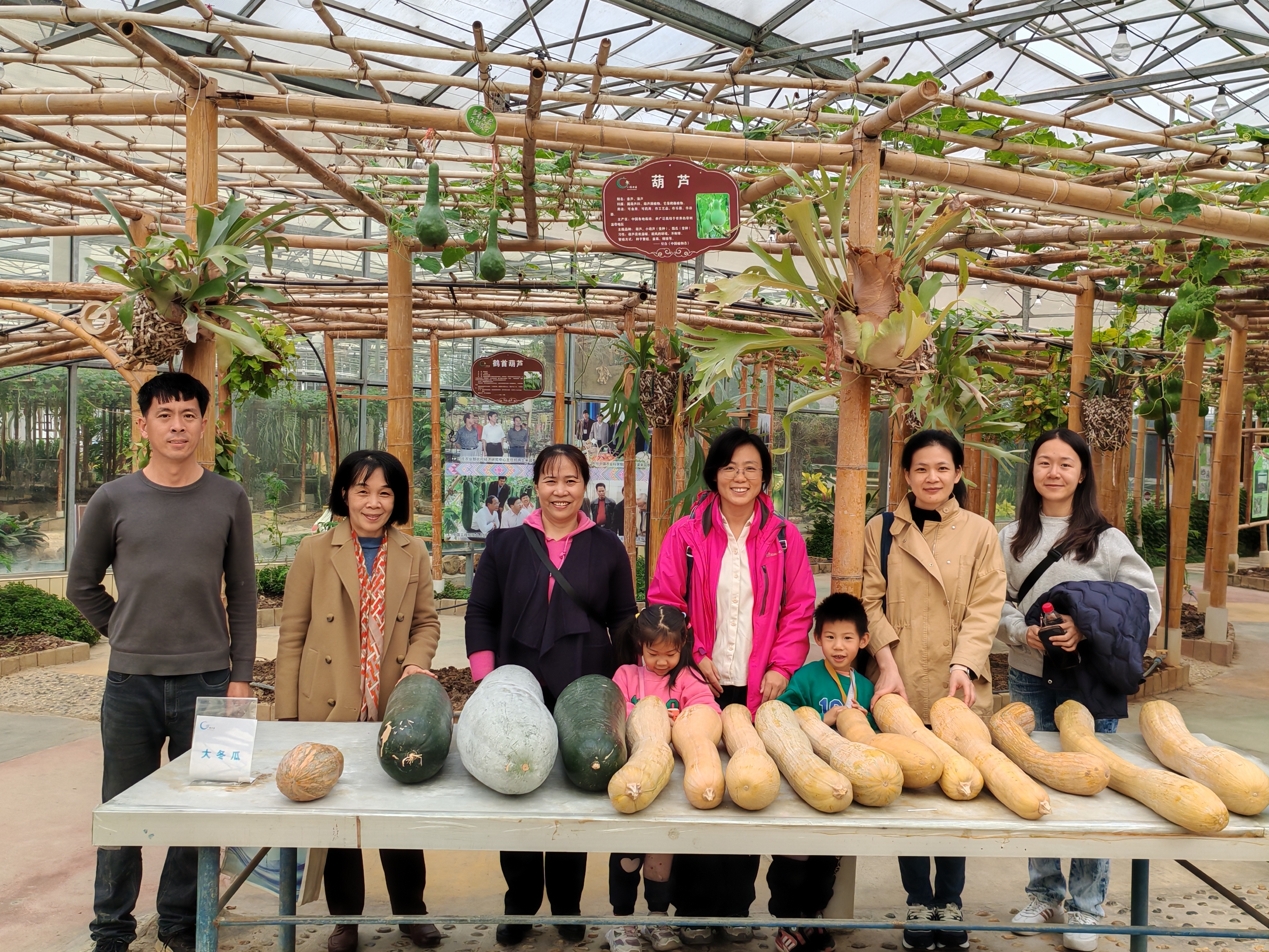 专项行动团队学习无土栽培技术