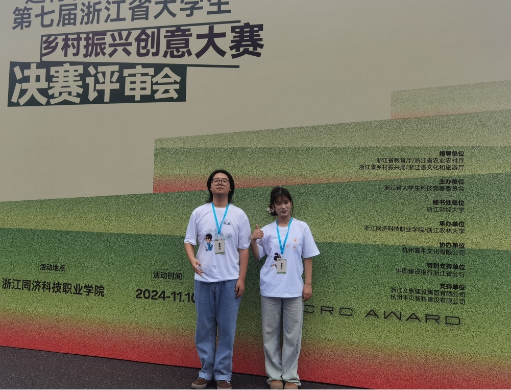 乡村振兴大赛