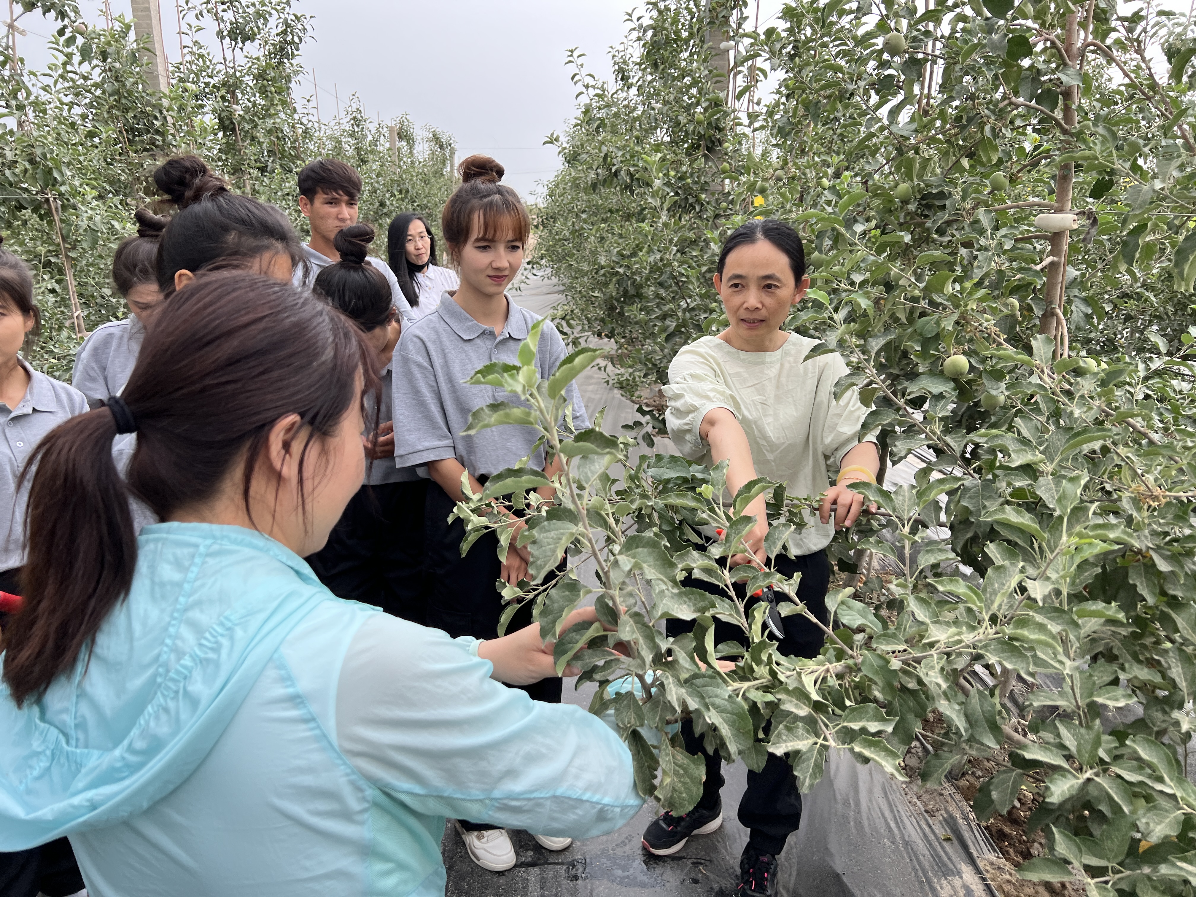 龚仲幸指导阿职院老师完成教学能力比赛