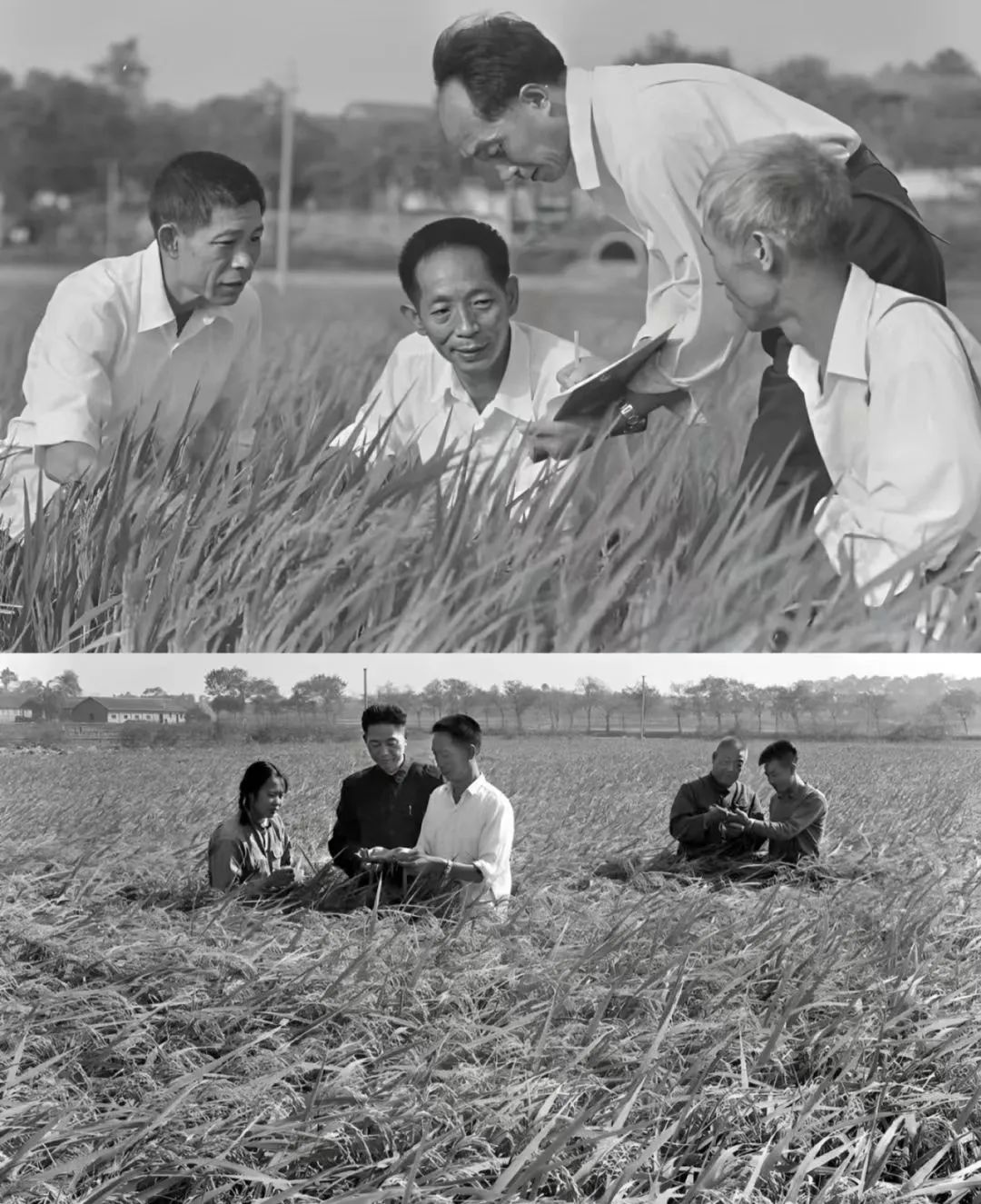 年轻