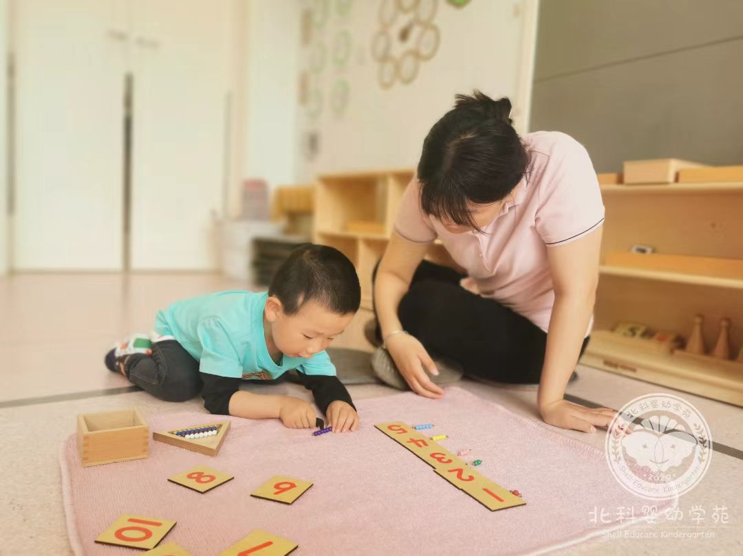 国际幼教学院学生入园见习6
