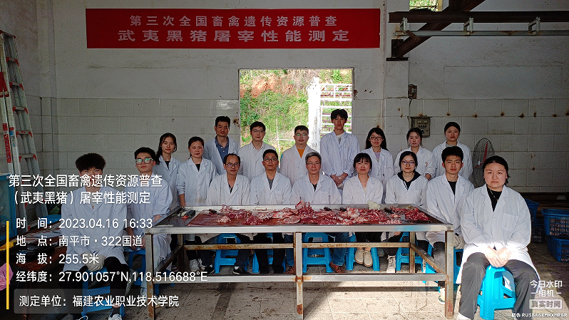 图片4