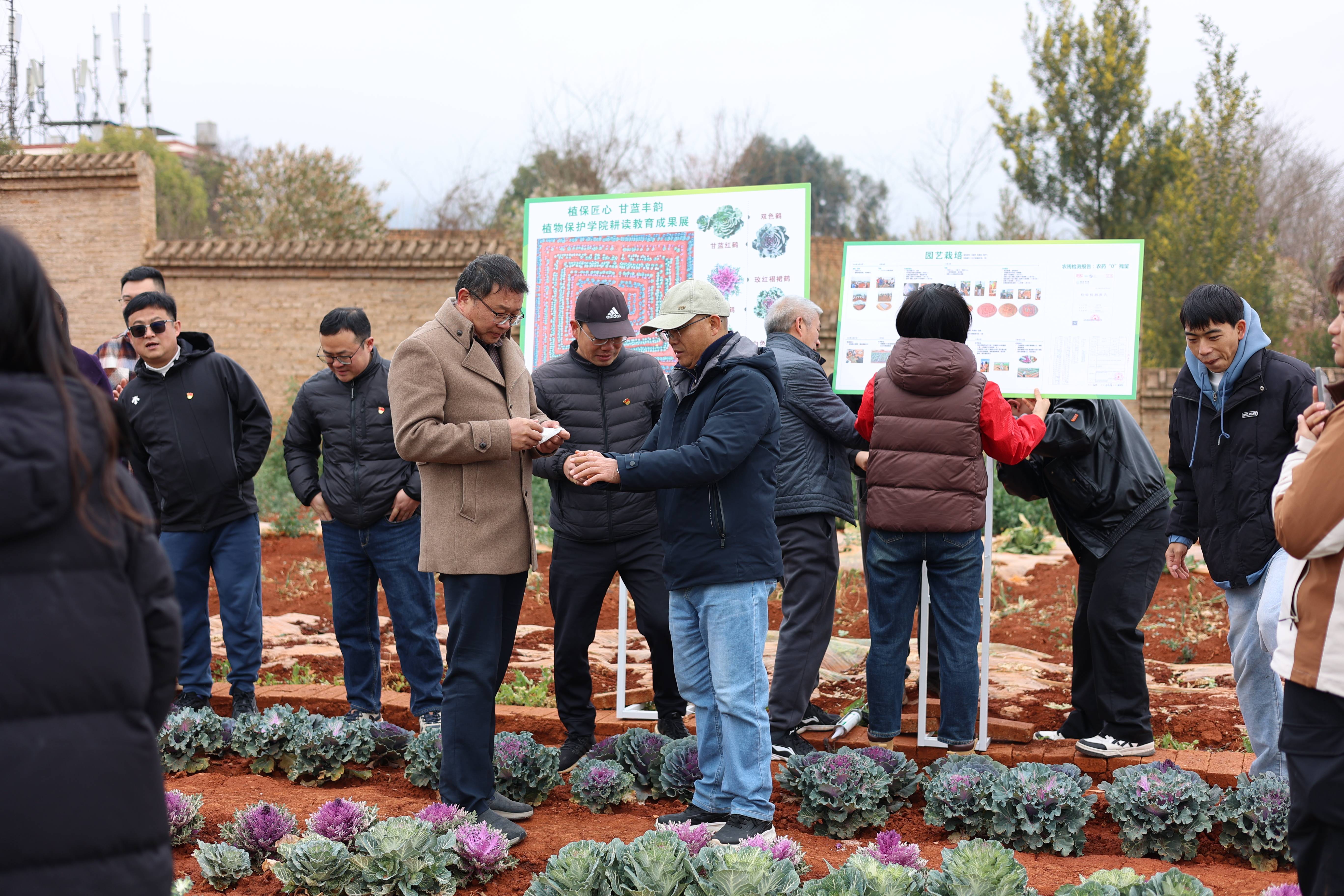 师生了解种植全过程