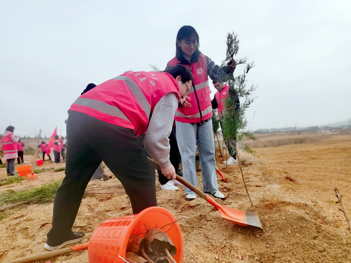 志愿者培土 志愿者培土