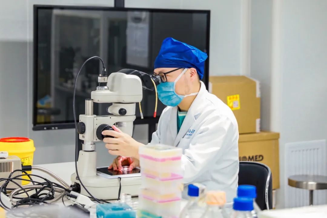 微信图片_20250311104015