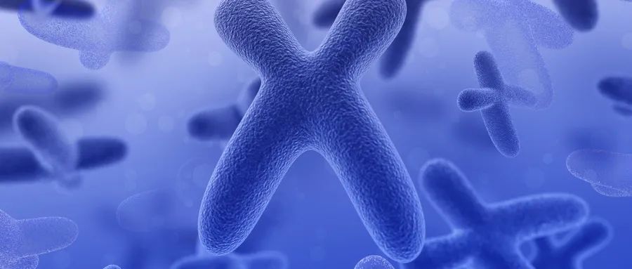 微信图片_20250311104011