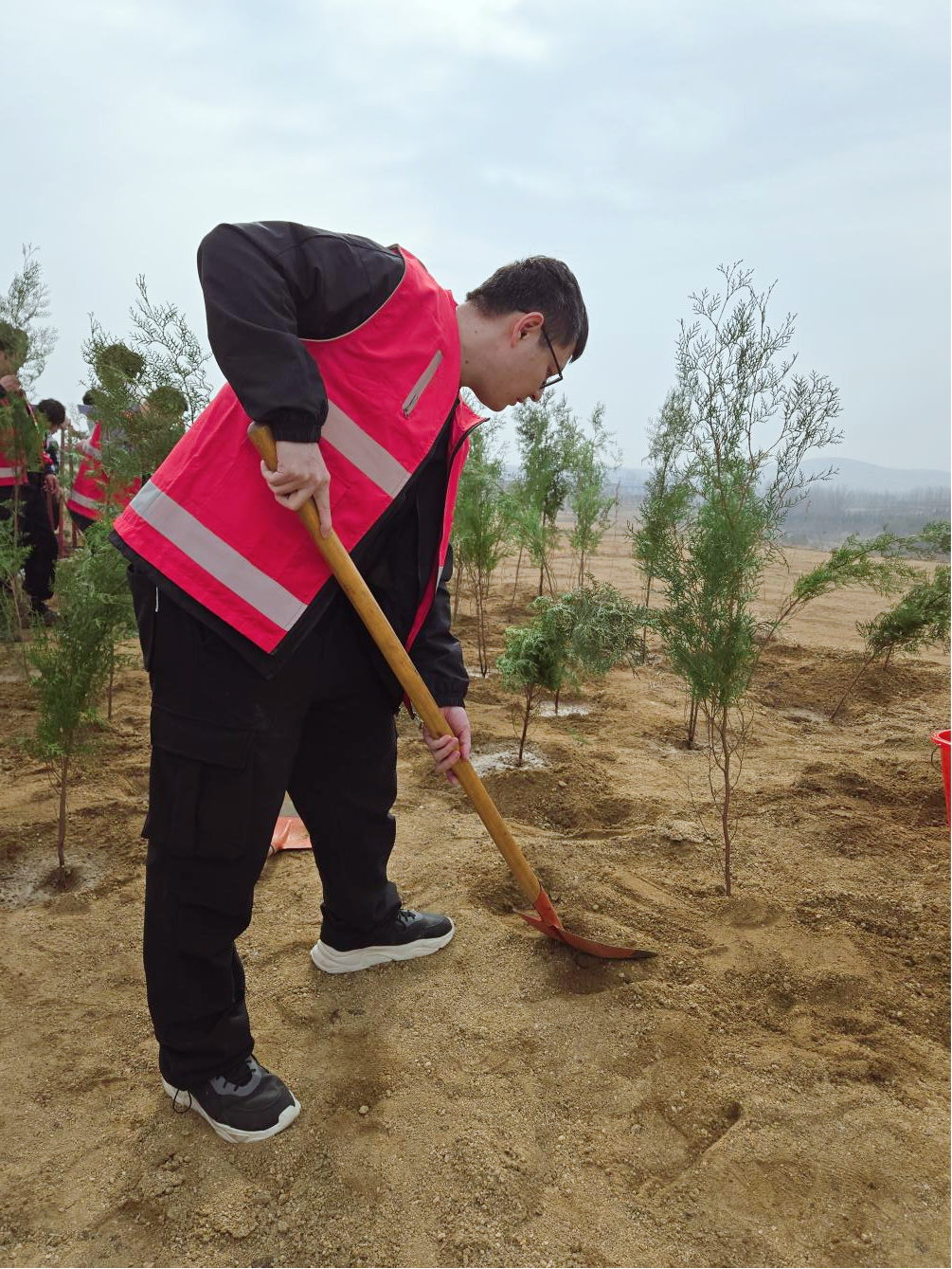 志愿者栽培树苗 志愿者栽培树苗