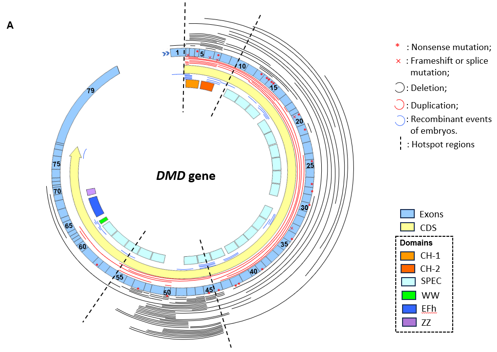 微信图片_20250311104003