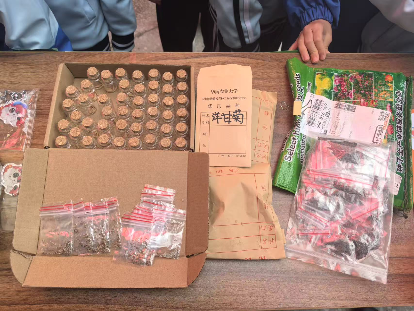 mmexport1741593660476 mmexport1741593660476