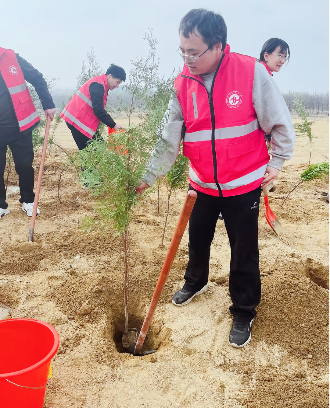 志愿者扶苗 志愿者扶苗