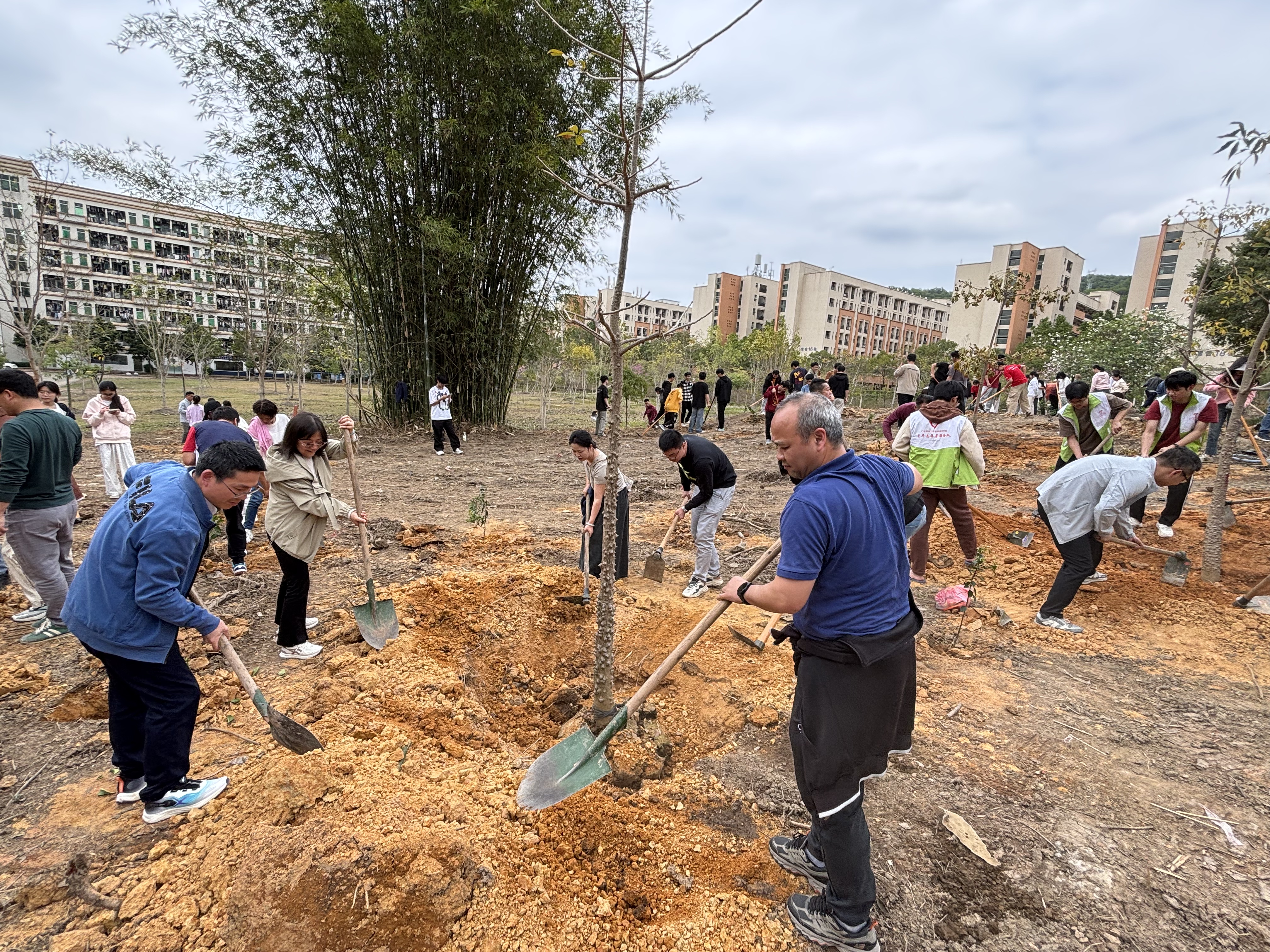 植树图片 植树图片